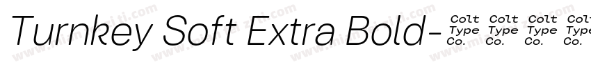 Turnkey Soft Extra Bold字体转换